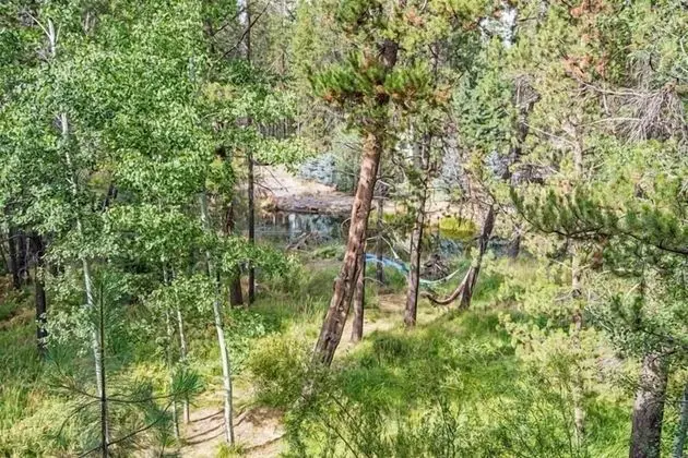 Dragonfly Cabin - Dış Mekan