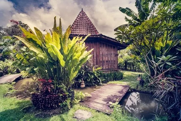 Dragonfly Village