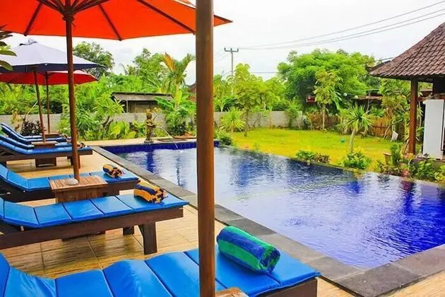 Dream Beach Berlian - Havuz