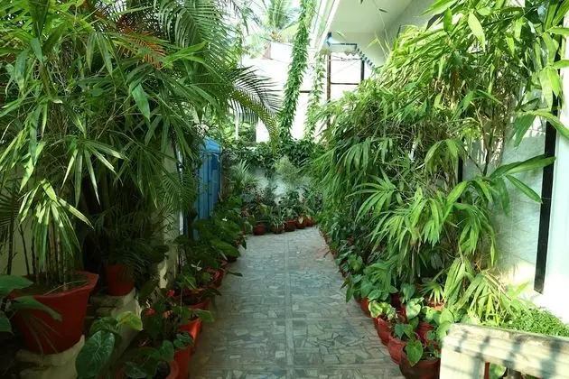 Dream Catcher Home Stay