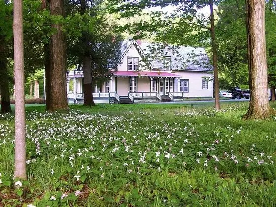 Dream House Country Inn - Dış Mekan
