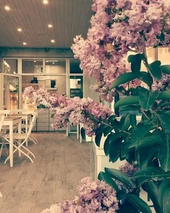 Dream House