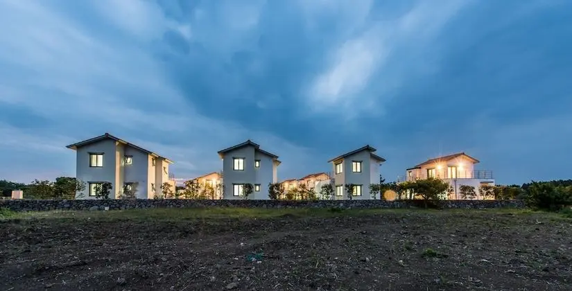 Dream in Jeju
