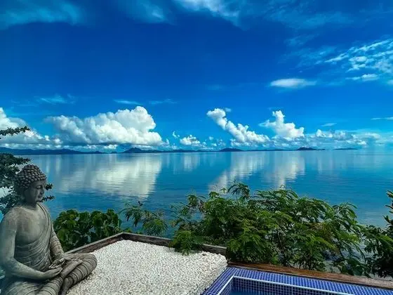 The Dream Wellness Resort
