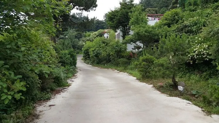 Dreaming Forest - Dış Mekan