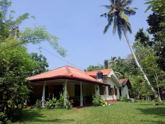 Dreams Garden Surf Lodge