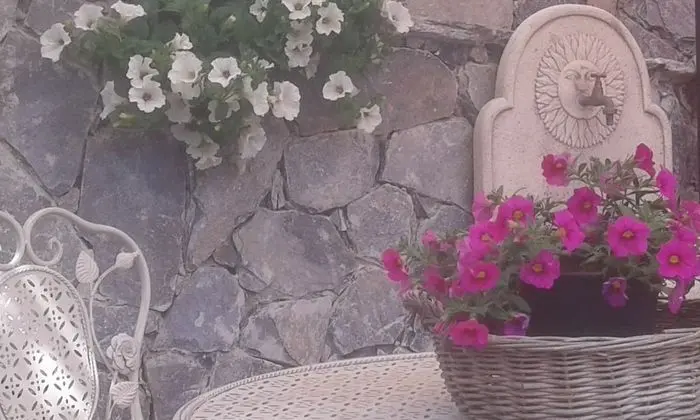 Dreams Guest House - Dış Mekan