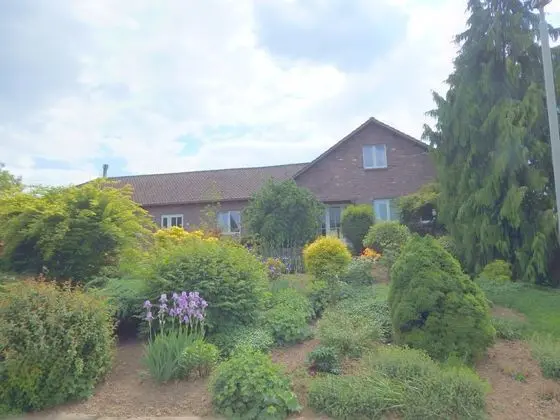 Dreamy Holiday Home in Sweikhuizen With Swimming Pool, Garden - Dış Mekan