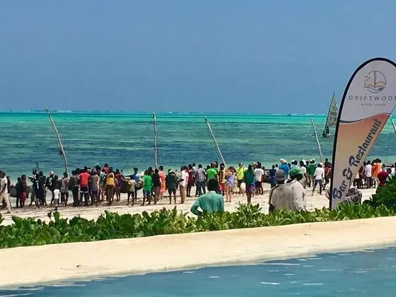 Driftwood Beach Lodge - Plaj