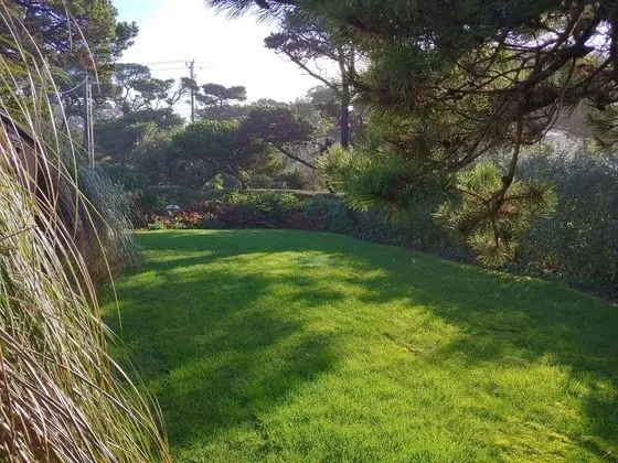 Driftwood Cottage - Dış Mekan