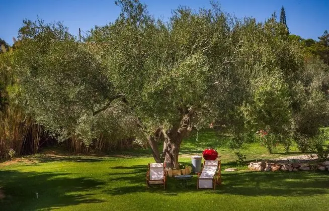 Driftwood Villa - Dış Mekan