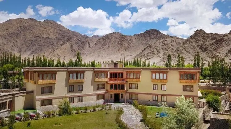 The Driftwood Ladakh