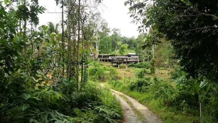 drmind farm - 1