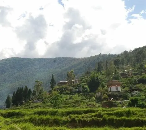 Drubchu Resort