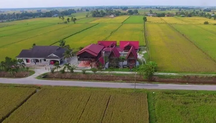 D'Sawah Bendang Homestay