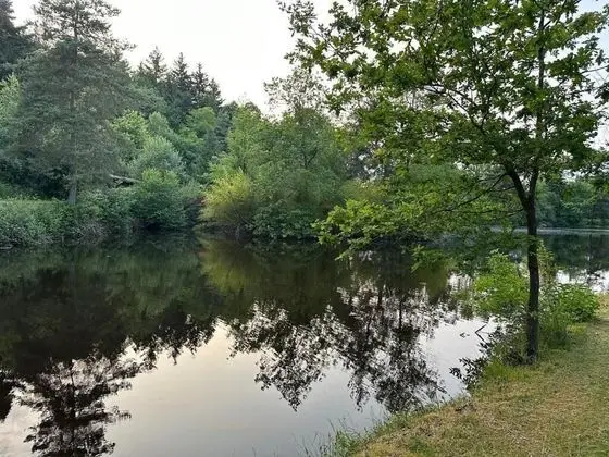Du côté de Chez SAM La Marguetière - Genel