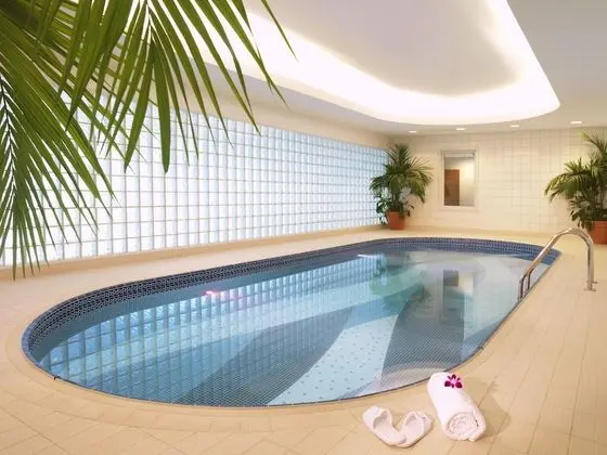 Dubai International Hotel, Dubai Airport - Havuz