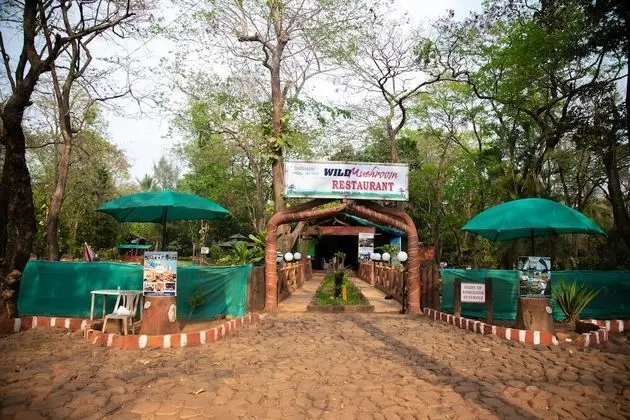 Dudhsagar Spa Resort - 1
