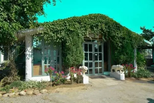 Dudhwa Jungle Lore by Cappuccino Resorts