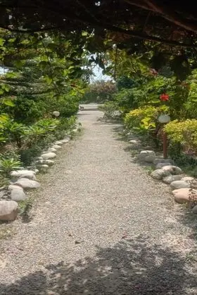 Dudhwa Jungle Lore by Cappuccino Resorts - Lobi