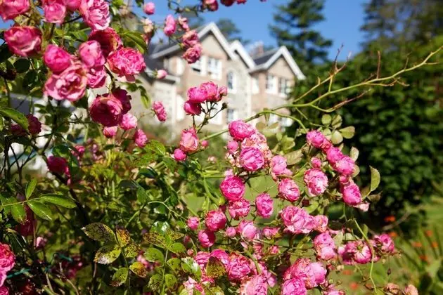 Duisdale House Hotel - 1