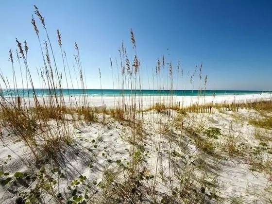 Dune Pointe #102 - Plaj