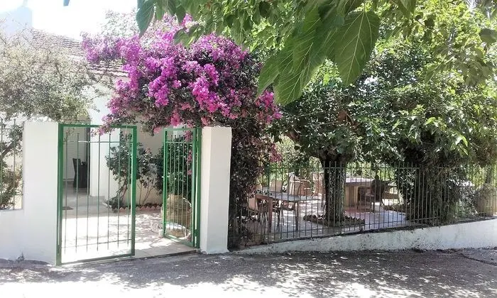 Villa Dunes - Dış Mekan