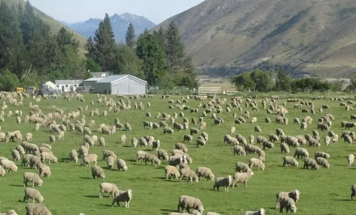 Dunstan Downs High Country Sheep Station - Dış Mekan