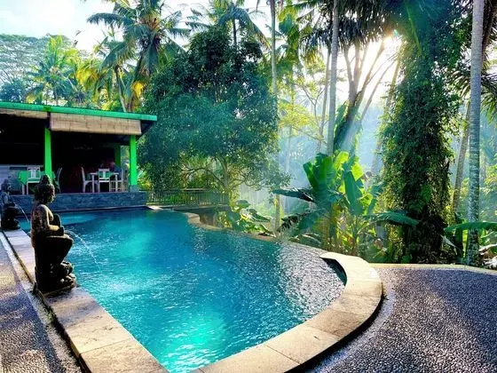 DUPA UBUD VILLA