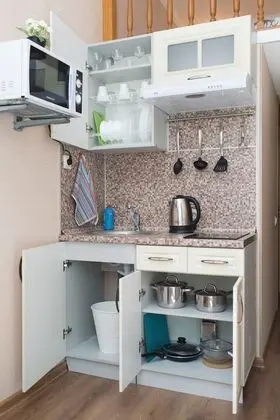 Duplex Apartments on Pushkinskaya 12 - Mutfak