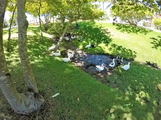Duplex with Hot Tub near Beach by DM Apartments. - Dış Mekan