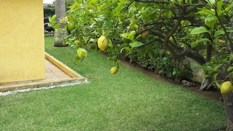 Villa Duque Los Monteros Marbella - Lobi