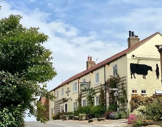 The Durham Ox