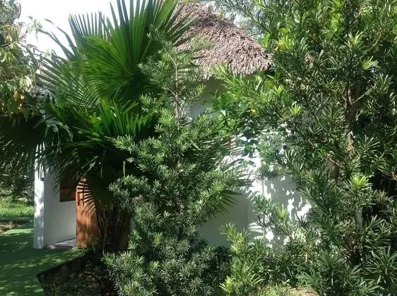 The Durian Lodge at Mekong - Oda