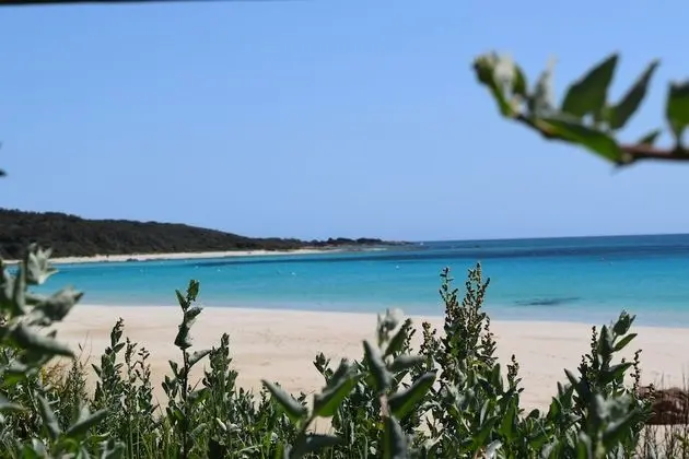 Eagle Bay House - Plaj