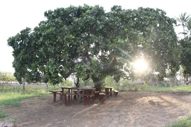 Eagle Camp Mida Creek - Yerinde Yemek