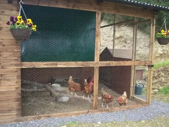 Eagle's Nest Bed & Breakfast - Havuz