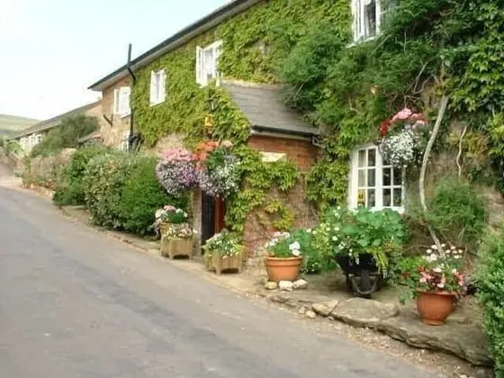 East Farm House B&B - Dış Mekan