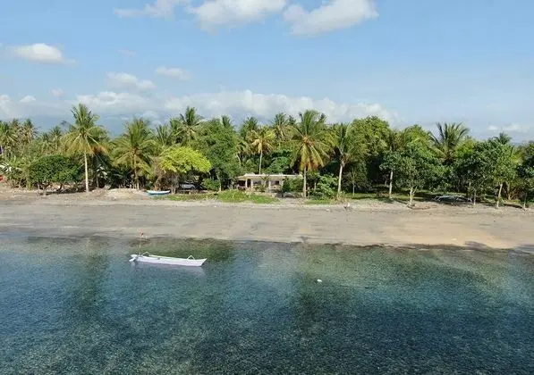 East Lombok Dive Hotel - Hostel - 1