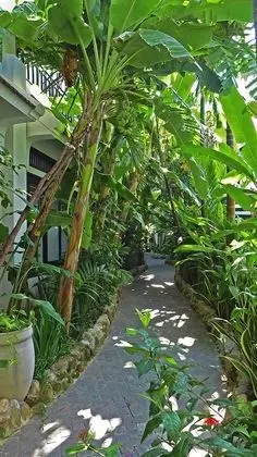 East West Villa - Dış Mekan