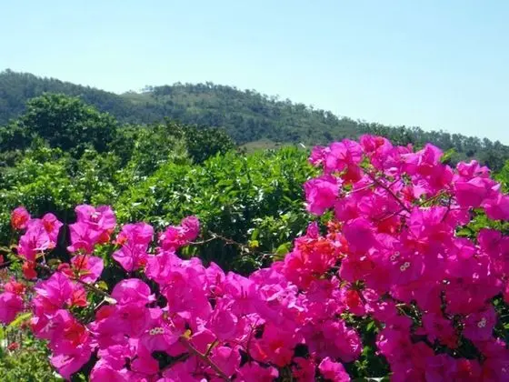 Eastwood Farm - Dış Mekan