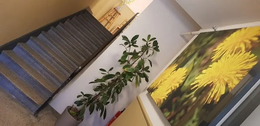 Easy-Living Apartments Lindenstrasse 21 - Lobi