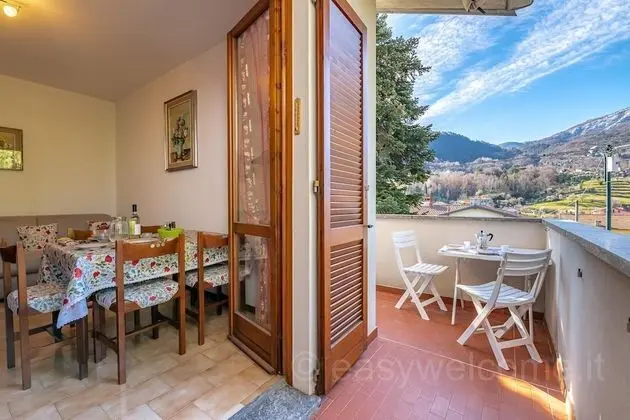 Easy Welcome Primula