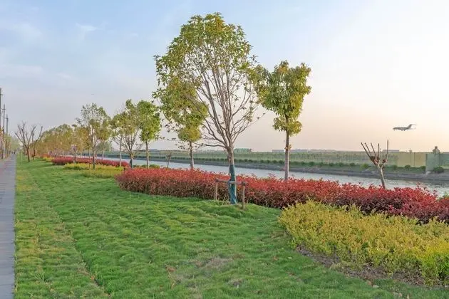 Echarm Hotel Shanghai Hongqiao Airport - Dış Mekan