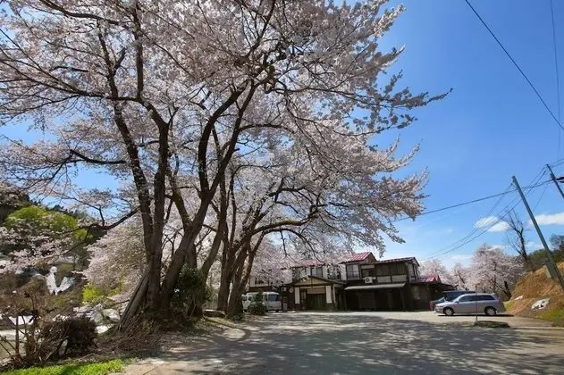 Echigo Tanaka Onsen Shinanosou - Dış Mekan