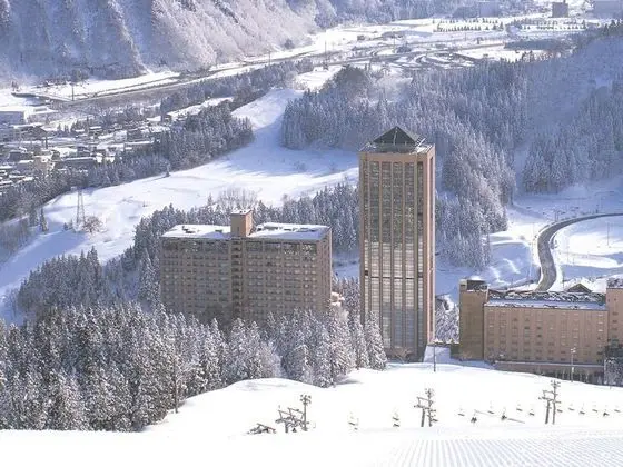 Echigoyuzawaonsen Gardentower Hotel