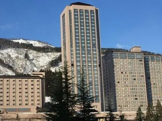 Echigoyuzawaonsen Gardentower Hotel - Dış Mekan