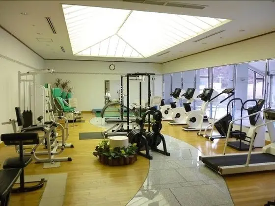 Echigoyuzawaonsen Gardentower Hotel - Fitness