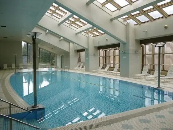Echigoyuzawaonsen Gardentower Hotel - Havuz