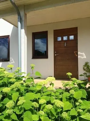 The Eco-Flat - Dış Mekan